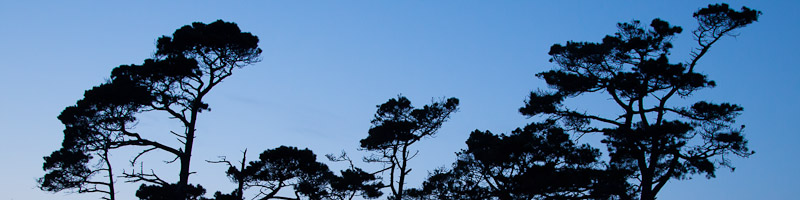 banner photo 800x200