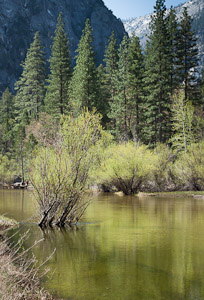 Mirror Lake